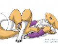 Yiffy Hentai Digimon - Renamon - Renamon 02.jpg